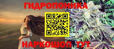 apvp Балаково