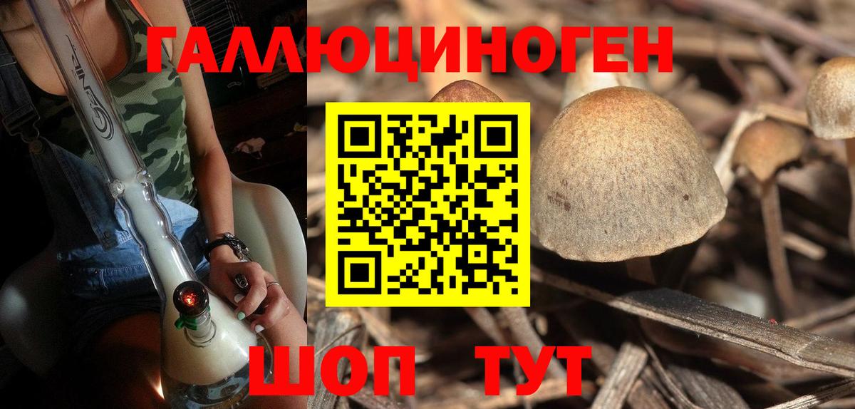 Галлюциногенные грибы Psilocybe  Вход с VPN  Еманжелинск  Галлюциногенные грибы Magic Shrooms 